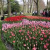 Amsterdam-Keukenhof-Brussel-Maastricht